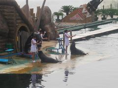 -秦皇岛乐岛海洋王国