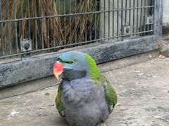 -上海动物园(地铁站)