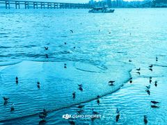 -星海广场