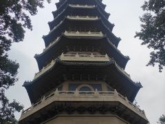 -灵谷景区