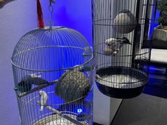 -悦融·京鲁菜·露台花园(安定门店)
