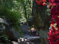 -少华山国家森林公园