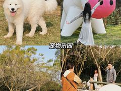 -南宁良凤江国家森林公园