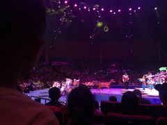 -珠海横琴长隆《卡卡虎奇遇记》