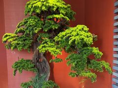 -阿伟海鲜楼·福建菜(延寿店)