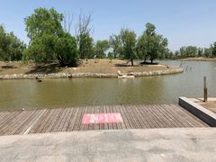 -盐城丹顶鹤湿地生态旅游区