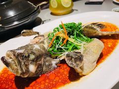 -维园悦谱·海派家常菜(乌鲁木齐南路店)