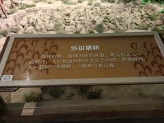 -中国农业博物馆