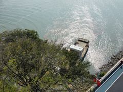-大湾区中央湿地公园