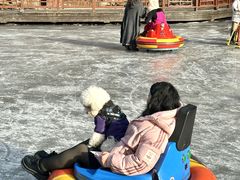 -洛阳白云山景区