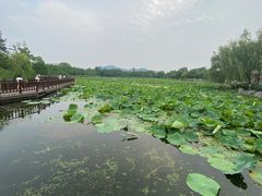 -云龙湖旅游景区