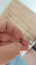 -东方爱堡国际母婴会所(廊坊首店广阳店)