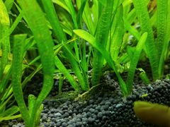 -上海海洋水族馆