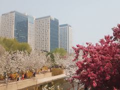 -元大都城垣遗址公园