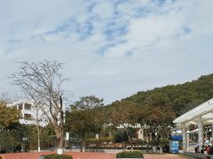 -红花山公园
