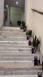 -海涛医疗美容·面部抗衰·注射美鼻