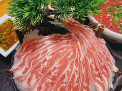-一斗火锅·招财羊毛肚(北温泉九号店)