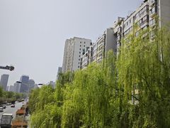 -木塔寺遗址生态公园