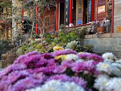 -寂照庵
