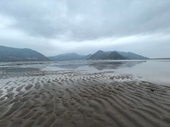 -北岐滩涂