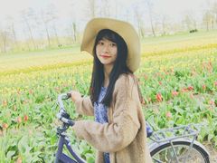 -库肯霍夫公园