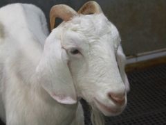 -上海大自然野生昆虫馆