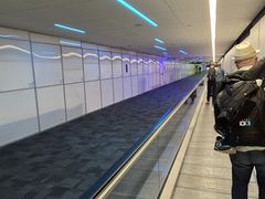 -达拉斯 沃斯堡国际机场