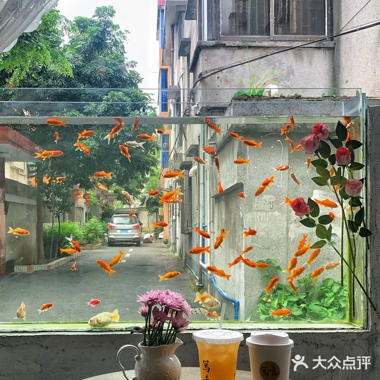 花都探店 | 梦核金鱼咖啡店