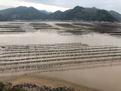 -北岐滩涂