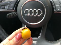 -阿男野栗王(金门路店)