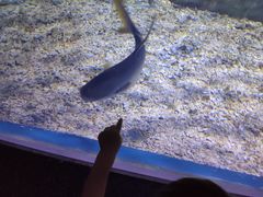 -临沂极地海洋王国