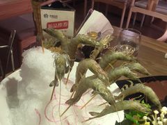 -尚海豆捞(乐虹坊店)