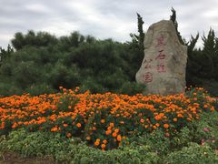 -黑石礁公园