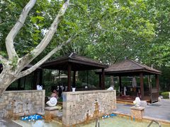 -春晖园度假酒店温泉