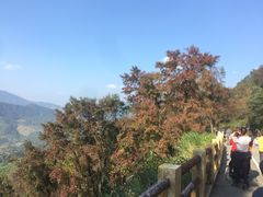 -广州市石门国家森林公园