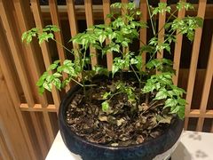 -龍二烧肉酒场(九亭店)