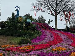 -东莞植物园