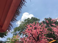 -株洲方特欢乐世界