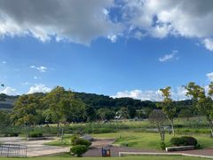 -牛岗山公园
