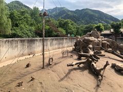 -西安秦岭野生动物园