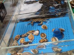 -加餐海鲜自助(集美银泰百货店)