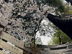 -龙华寺