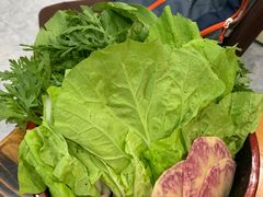 -菌之家·专业纯野生菌火锅·特色炒菌