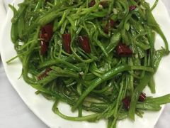 -泸沽肴(泸沽湖大洛水村农村信用社旁店)