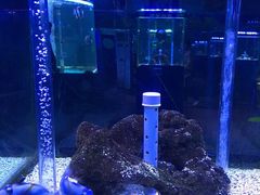 -荆州中山公园动物园