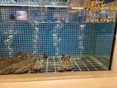 -烟火鱼乡(京华城店)