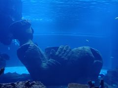-石家庄海洋公园