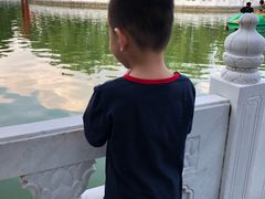 -丰台花园