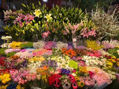 -朝来春花卉市场