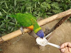 -南宫五洲植物乐园